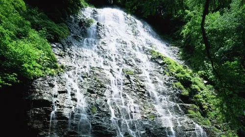 高效先进